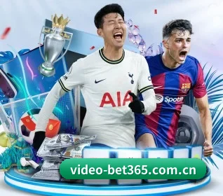 五大服务分区,信息按项目分类(bet365 online)